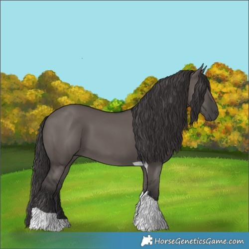 Horse Color:Smoky Grullo Tobiano 