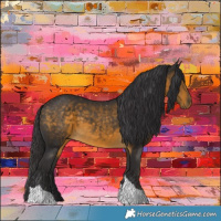 Horse Color:Buckskin Tobiano 