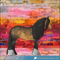 Horse Color:Buckskin Tobiano 