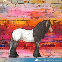 Horse Color:Brown Dun Snowcap 