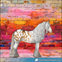 Horse Color:Chocolate Palomino Dun Appaloosa 