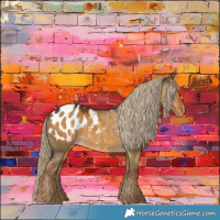 Horse Color:Chocolate Palomino Dun Appaloosa 