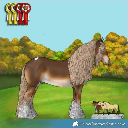 Horse Color:Chocolate Palomino Tobiano 