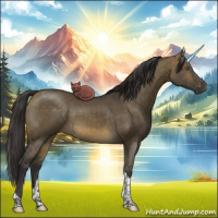 Horse Color:Buckskin Dun Tobiano 