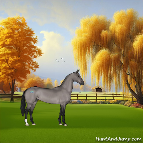 Horse Color:Gray Platinum Brown Dun 