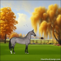 Horse Color:Gray Platinum Brown Dun