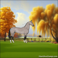 Horse Color:Gray Platinum Buckskin Dun Rabicano 