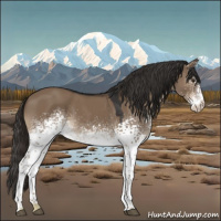 Horse Color:White Spotted Liver Red Dun 