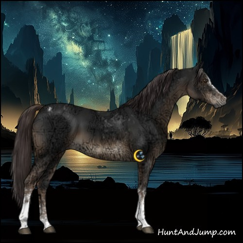 Horse Color:Gray Liver Chestnut Ice Sabino Tobiano