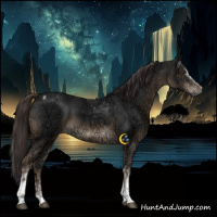Horse Color:Gray Liver Chestnut Ice Sabino Tobiano