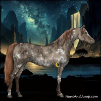 Horse Color:White Spotted Liver Red Dun Ice Sabino 