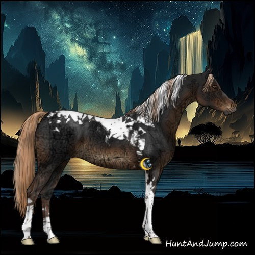 Horse Color:Gray Liver Chestnut Ice Tobiano 
