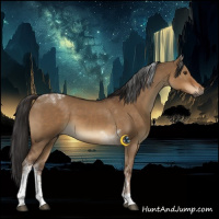 Horse Color:Gray Liver Red Dun Tobiano Rabicano 