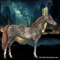 Horse Color:Liver Red Dun Ice Tobiano Rabicano