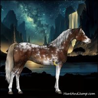 Horse Color:Gray Liver Chestnut Ice Splash Tobiano 