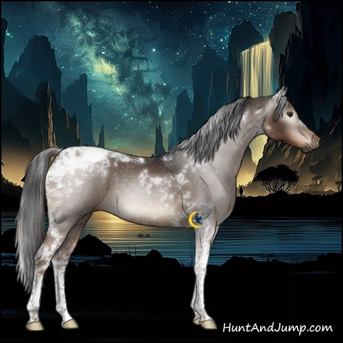 Horse Color:Gray Liver Chestnut Tobiano
