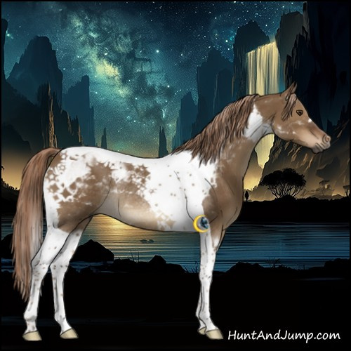 Horse Color:Gray Liver Red Dun Tobiano Rabicano