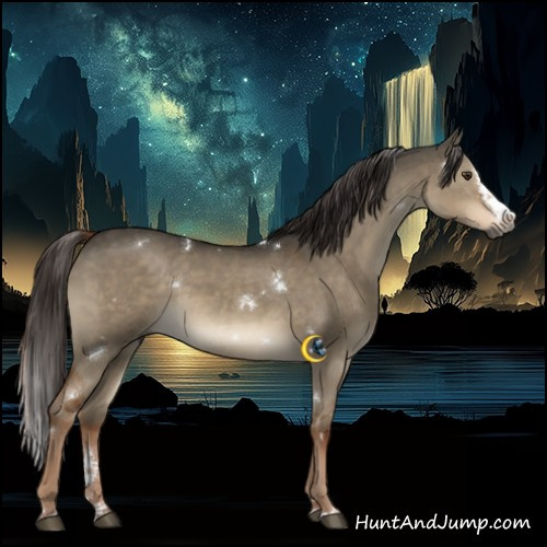 Horse Color:Gray White Spotted Liver Red Dun Splash Rabicano 