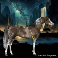 Horse Color:Gray Liver Red Dun Ice Splash Tobiano Rabicano