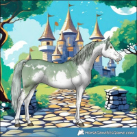 Horse Color:Watercolor White Spotted Chocolate Palomino Dun Splash Rabicano 