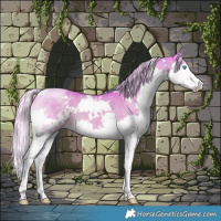 Horse Color:Watercolor White Spotted Chocolate Palomino Dun Splash