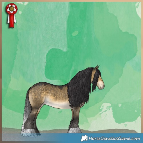 Horse Color:Buckskin Dun 