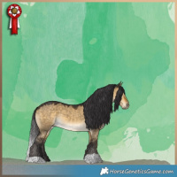 Horse Color:Buckskin Dun 