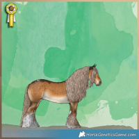 Horse Color:Gray Chocolate Palomino Dun Tobiano 