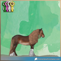 Horse Color:Liver Chestnut Tobiano 