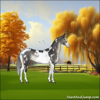 Horse Color:White Spotted Brown Dun Splash Tobiano 