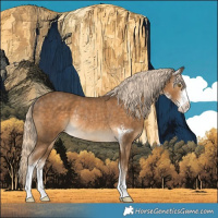 Horse Color:Chocolate Palomino Sabino Rabicano