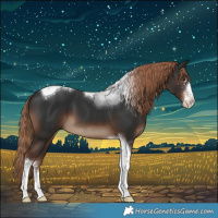 Horse Color:Liver Chestnut Sabino Tobiano 
