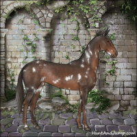 Horse Color:White Spotted Liver Chestnut Rabicano 