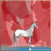 Horse Color:Blue Onyx Near Fewspot 