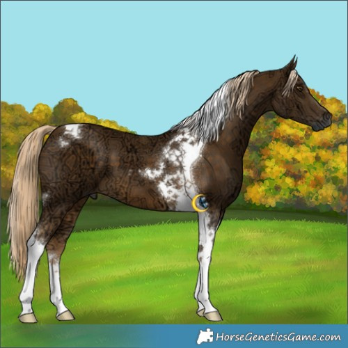 Horse Color:Chocolate Palomino Ice Mushroom Tobiano 