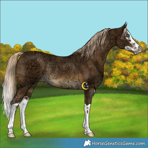 Horse Color:Chocolate Palomino Ice Mushroom Splash Rabicano 