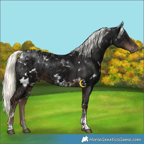 Horse Color:White Spotted Liver Chestnut Ice Mushroom Tobiano 