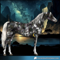 Horse Color:White Spotted Midnight Liver Chestnut Ice Mushroom Sabino Rabicano 