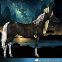 Horse Color:White Spotted Midnight Liver Red Dun Ice Mushroom Brindle 