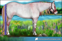 Horse Color:Painted Watercolor Liver Red Dun Roan Onyx 