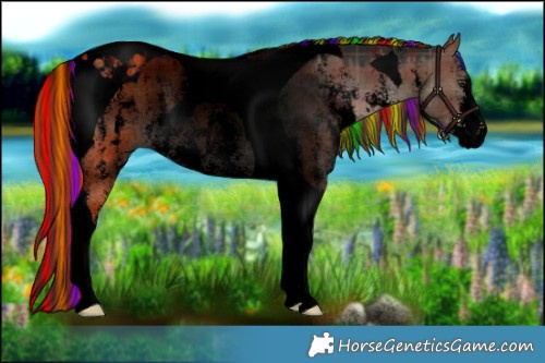 Horse Color:Void Painted Plaid  Liver Red Dun Sabino Tobiano 