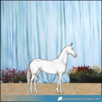 Horse Color:Silver Smoky Grullo Sabino Near Fewspot Brindle 