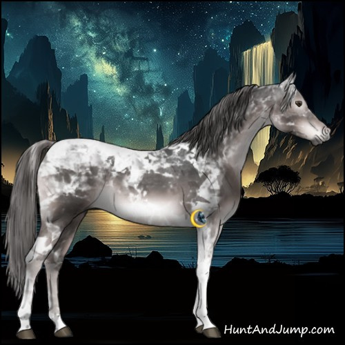 Horse Color:Gray Platinum Liver Chestnut Tobiano