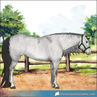 Horse Color:Platinum Liver Red Dun Roan Sabino 