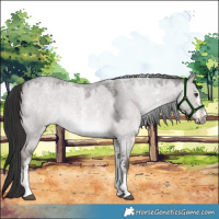 Horse Color:Platinum Liver Red Dun Roan Sabino