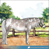 Horse Color:Platinum White Spotted Chocolate Palomino