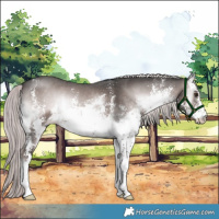 Horse Color:Platinum White Spotted Liver Red Onyx Sabino 