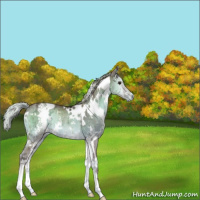 Horse Color:White Spotted Chocolate Silver Blue Onyx Chinchilla Ice Rabicano 