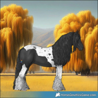 Horse Color:Black Tobiano 