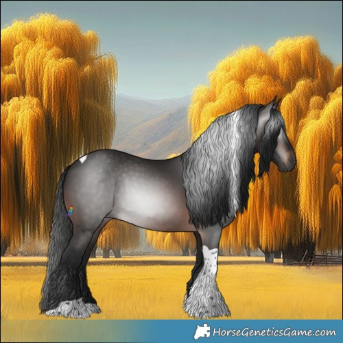 Horse Color:Gray Brown Tobiano